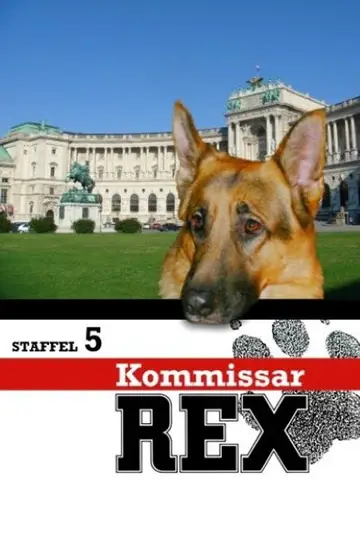 Temporada 5