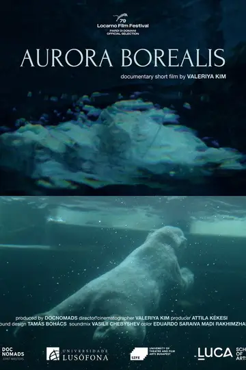 Aurora Borealis