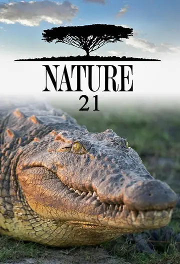 Sezon 21