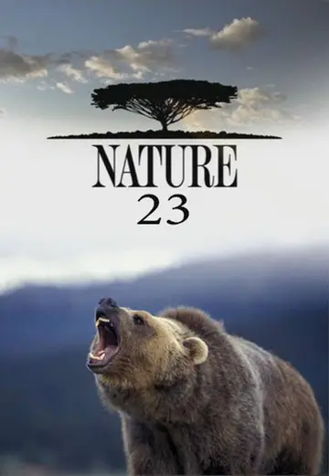 Sezon 23