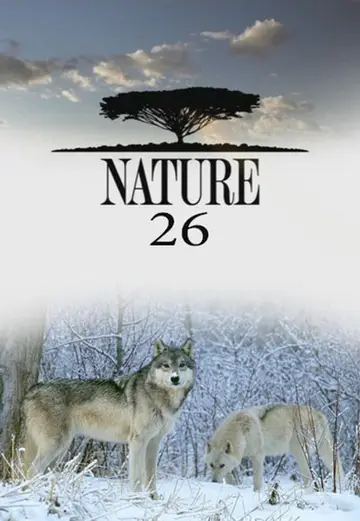 Sezon 26