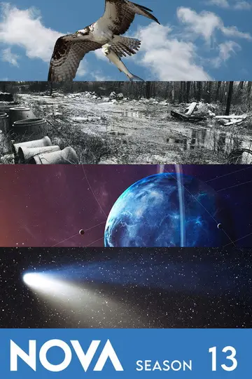 Temporada 13