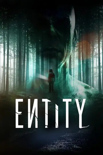 Entity 2012