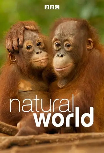 Serie Mundo Natural completa ver online castellano