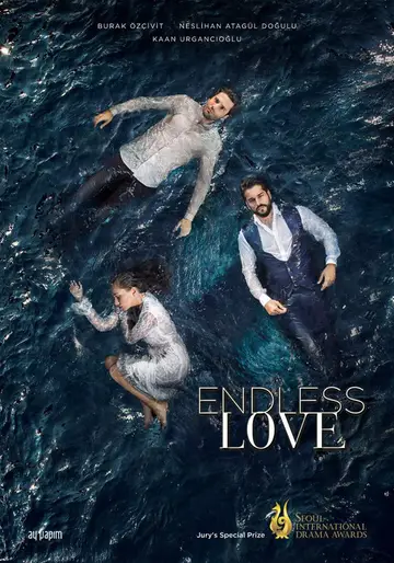 Serie Amor eterno completa ver online castellano