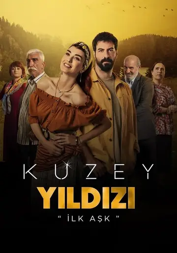 Serie Yildiz, un amor indomable completa ver online castellano