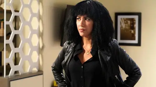 Brooklyn Nine-Nine Temporada 6 Episodios 6 • Sub Español