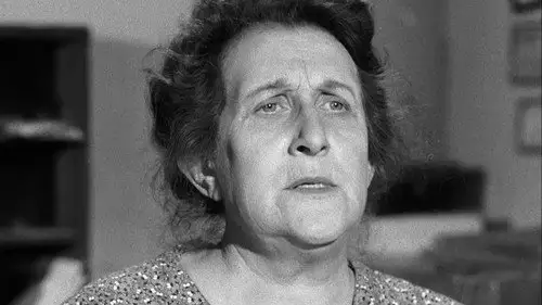 Perry Mason Temporada 1 Episodios 15 • Sub Español