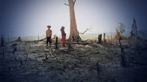 Panorama Temporada 72 Episodios 15 • Sub Español