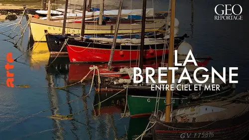 ARTE 360° Reportage Temporada 23 Episodios 1 • Sub Español