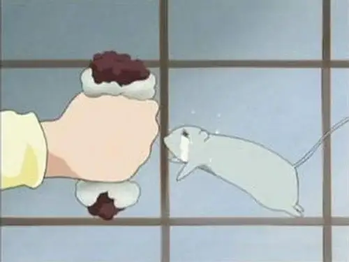 Fruits Basket Temporada 1 Episodios 6 • Sub Español