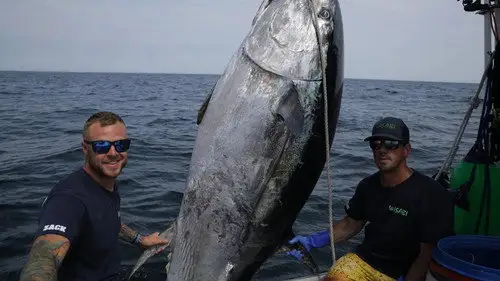 Pesca Pesada Temporada 4 Episodios 16 • Sub Español