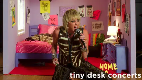 NPR Tiny Desk Concerts Sezon 14 Odc 12 • Online