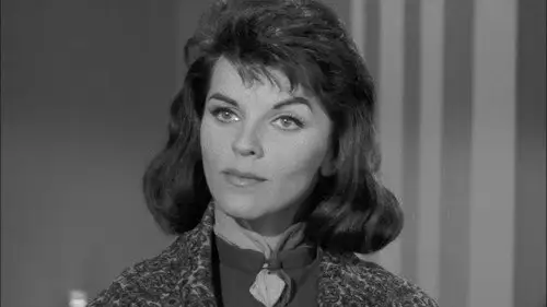 Perry Mason Temporada 6 Episodios 18 • Sub Español