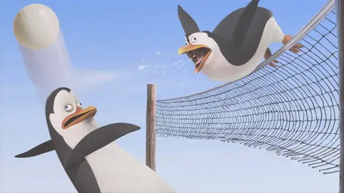 Los pingüinos de Madagascar Temporada 1 Episodios 17 • Sub Español