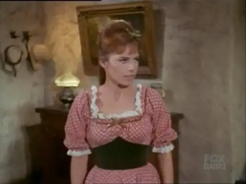 Bonanza Temporada 6 Episodios 18 • Sub Español