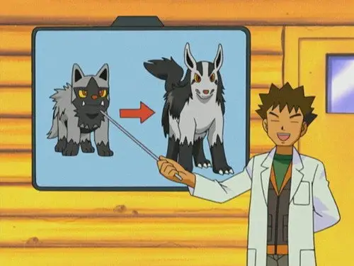 Pokémon Temporada 6 Episodios 11 • Sub Español