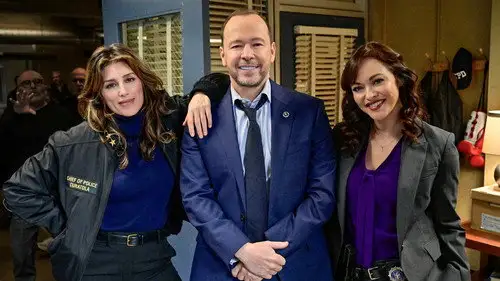 Familia de policías Temporada 13 Episodios 21 • Sub Español