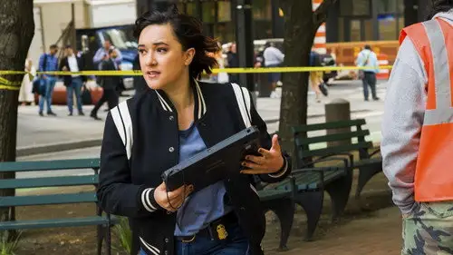 FBI: Most Wanted Temporada 3 Episodios 22 • Sub Español