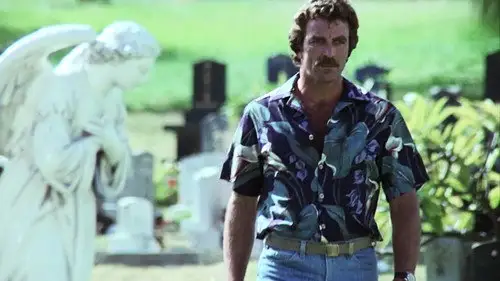 Magnum 1980 Temporada 1 Episodios 15 • Sub Español