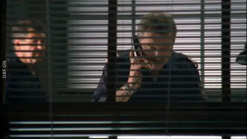 Crimen en los Alpes Temporada 9 Episodios 10 • Sub Español