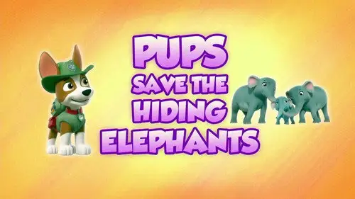 La Patrulla Canina Temporada 8 Episodios 18 • Sub Español