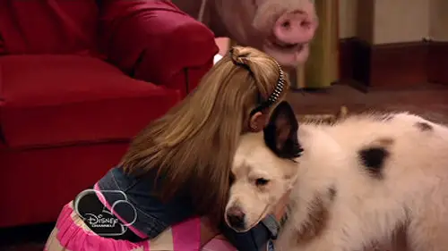 Mi perro tiene un blog Temporada 1 Episodios 3 • Sub Español