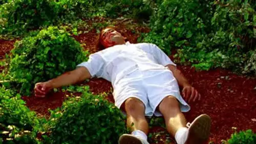 CSI: Miami Temporada 4 Episodios 5 • Sub Español