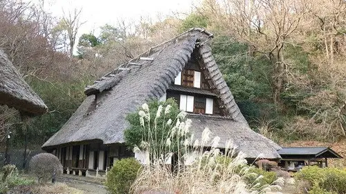 Japanology Plus Temporada 9 Episodios 4 • Sub Español