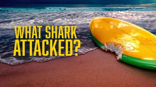Shark Week S39E13 • Oglądaj Online