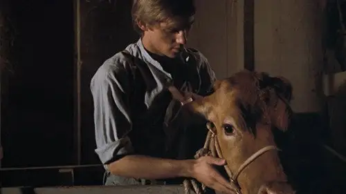 Los Walton Temporada 1 Episodios 3 • Sub Español