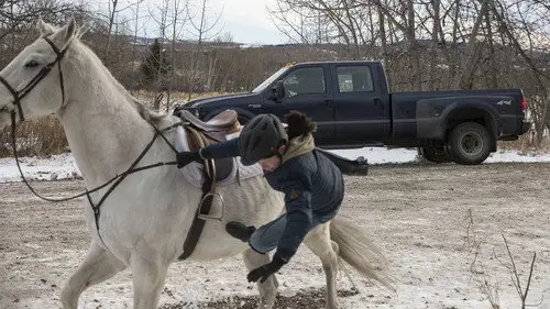 Heartland Temporada 6 Episodios 17 • Sub Español