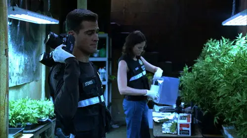 CSI: Las Vegas Temporada 6 Episodios 5 • Sub Español