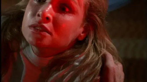 Millennium Temporada 2 Episodios 23 • Sub Español