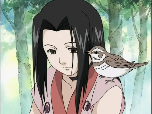 Naruto Temporada 1 Episodios 12 • Sub Español