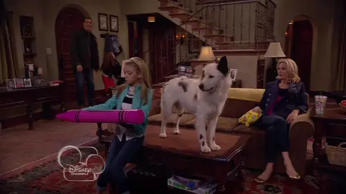 Mi perro tiene un blog Temporada 1 Episodios 11 • Sub Español