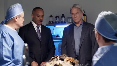 Navy: Investigación criminal Temporada 15 Episodios 8 • Sub Español