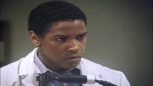 St. Elsewhere Temporada 1 Episodios 12 • Sub Español