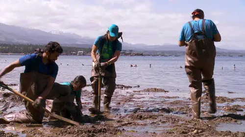 The Amazing Race Canada Temporada 7 Episodios 5 • Sub Español