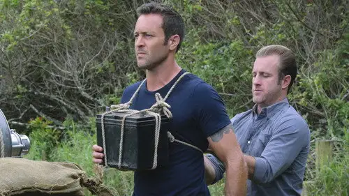 Hawái 5.0 Temporada 7 Episodios 18 • Sub Español