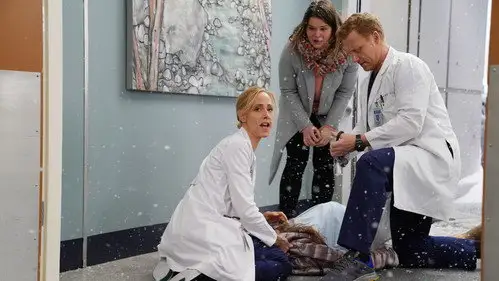 Anatomía de Grey Temporada 16 Cap 15 • Español Online