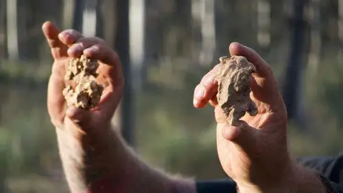 Australijscy poszukiwacze złota S5E12 • Oglądaj Online