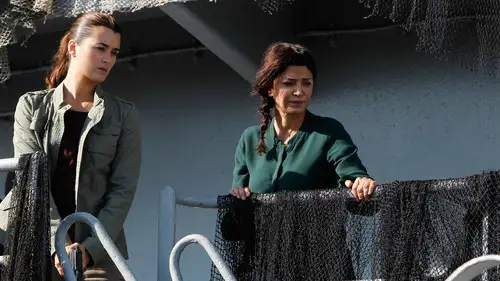 Navy: Investigación criminal Temporada 9 Episodios 5 • Sub Español
