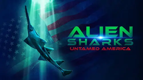 Shark Week S39E12 • Oglądaj Online