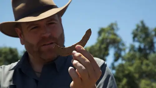Expedición al pasado Temporada 11 Episodios 13 • Sub Español
