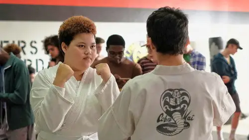 Cobra Kai Temporada 1 Episodios 6 • Sub Español