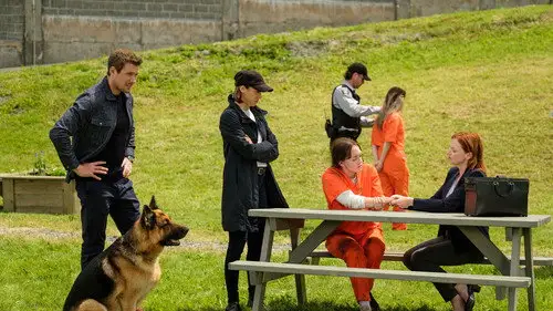 Hudson & Rex Temporada 5 Episodios 7 • Sub Español