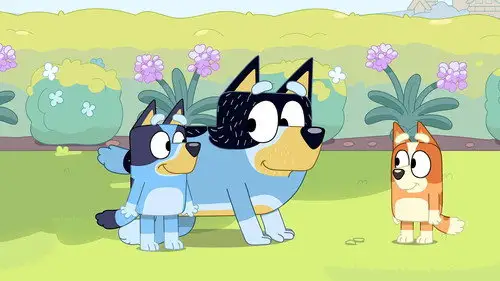 Bluey Temporada 3 Episodios 12 • Sub Español