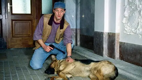 Rex, un policía diferente Temporada 1 Episodios 14 • Sub Español