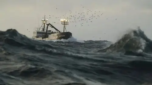 Pesca radical Temporada 15 Episodios 16 • Sub Español